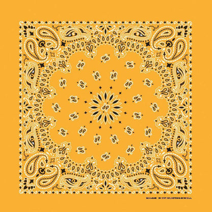 HAV-A-HANK gold paisley bandana bandanna