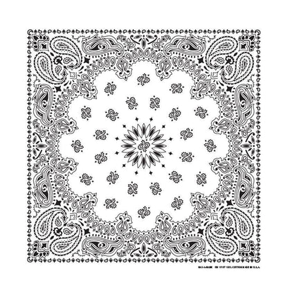 PAISLEY TOP SELLER 12 PK - The Bandanna Company Store