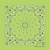 HAV-A-HANK lime green paisley bandana bandanna