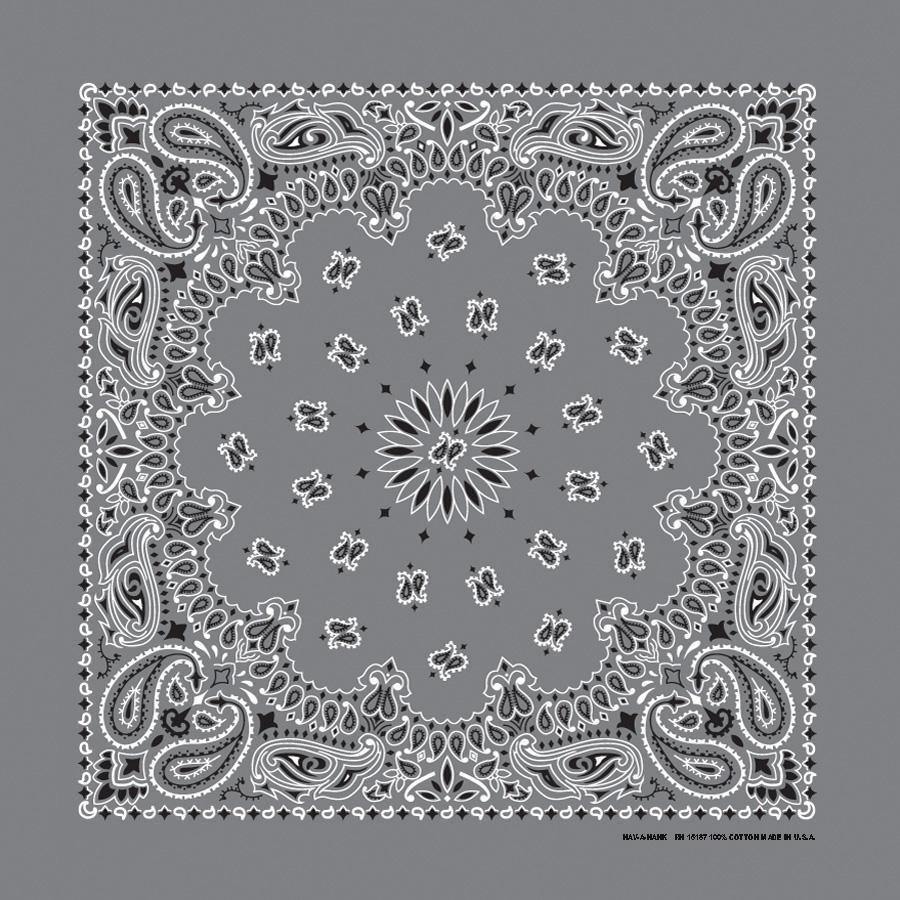 HAV-A-HANK 3 PACK PAISLEY - 34 COLORS! - The Bandanna Store
