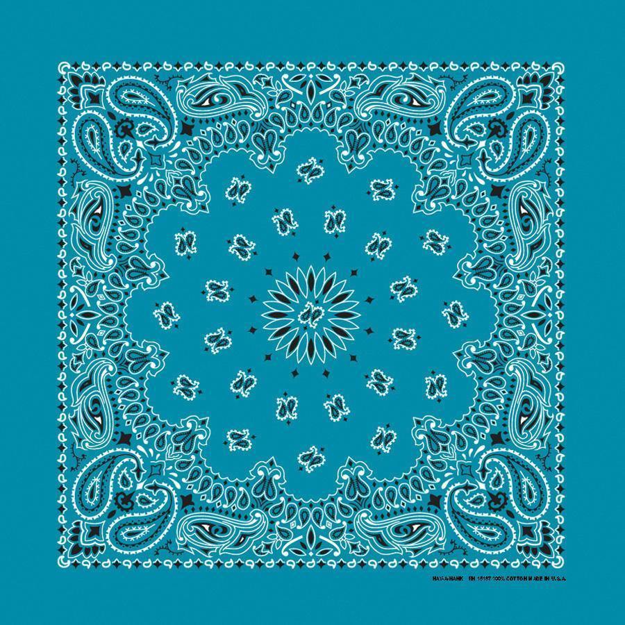 HAV-A-HANK 3 PACK PAISLEY - 34 COLORS! - The Bandanna Store