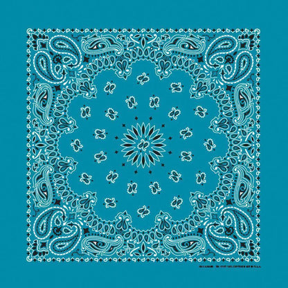 HAV-A-HANK 3 PACK PAISLEY - 34 COLORS! - The Bandanna Store