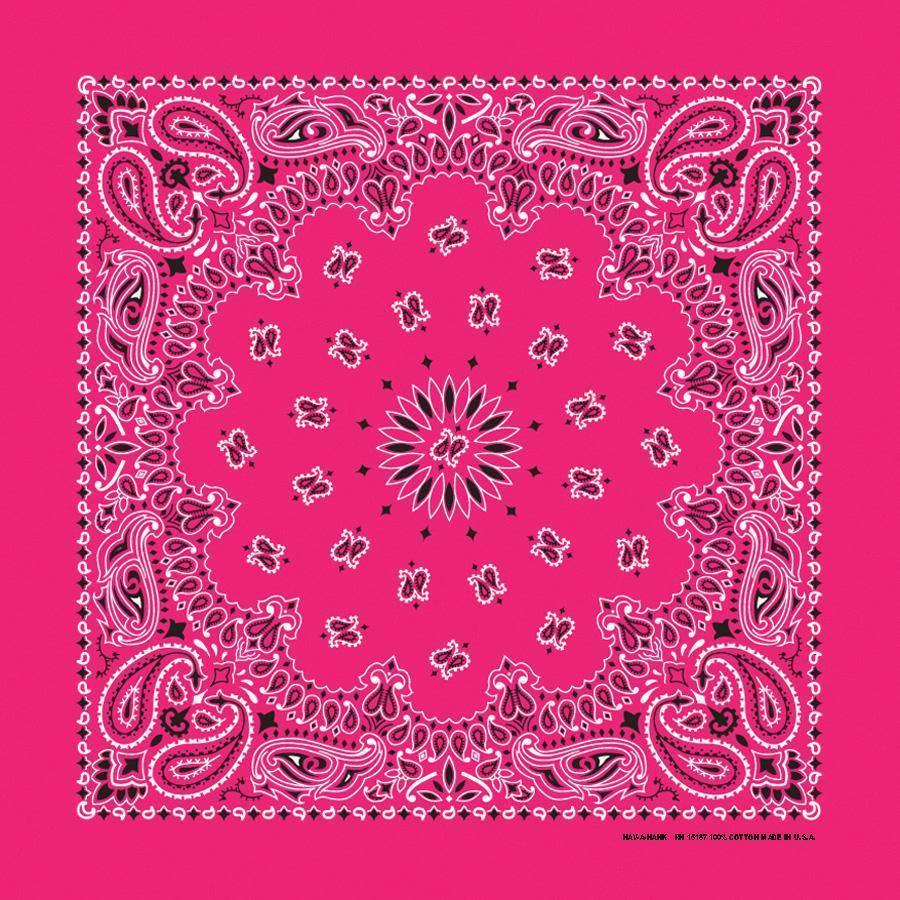 4-Pack USA Made Paisley Bandanna - HOT PINK featuring a traditional paisley design on vibrant hot pink background.