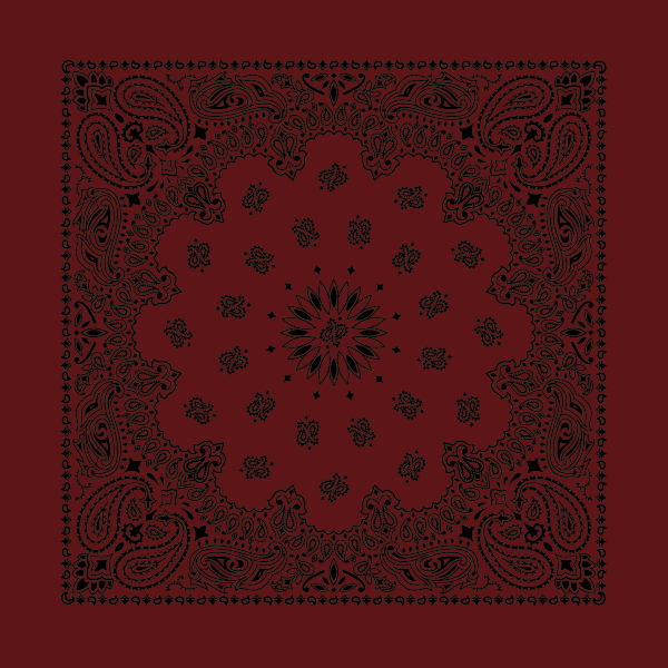 New - Contemporary Paisley Bandannas - The Bandanna Store