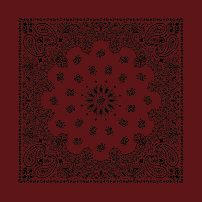 New - Contemporary Paisley Bandannas - The Bandanna Store