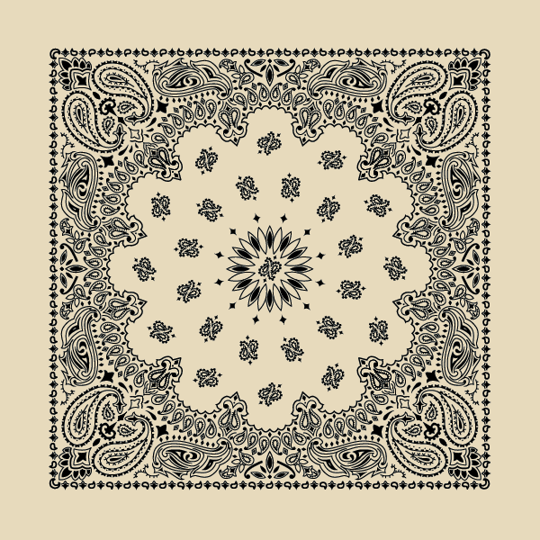 New - Contemporary Paisley Bandannas - The Bandanna Store