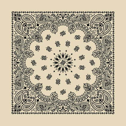 New - Contemporary Paisley Bandannas - The Bandanna Store