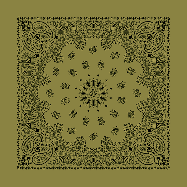 New - Contemporary Paisley Bandannas - The Bandanna Store