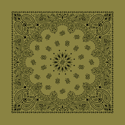 New - Contemporary Paisley Bandannas - The Bandanna Store