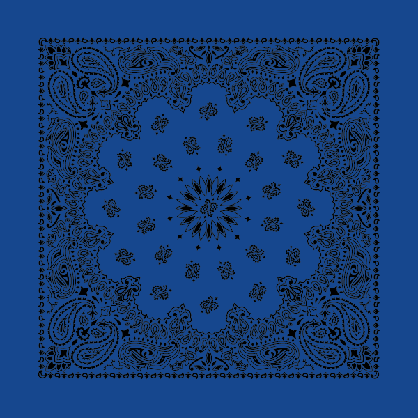 New - Contemporary Paisley Bandannas - The Bandanna Store