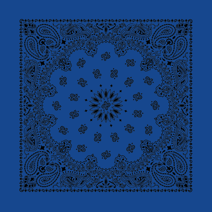 New - Contemporary Paisley Bandannas - The Bandanna Store
