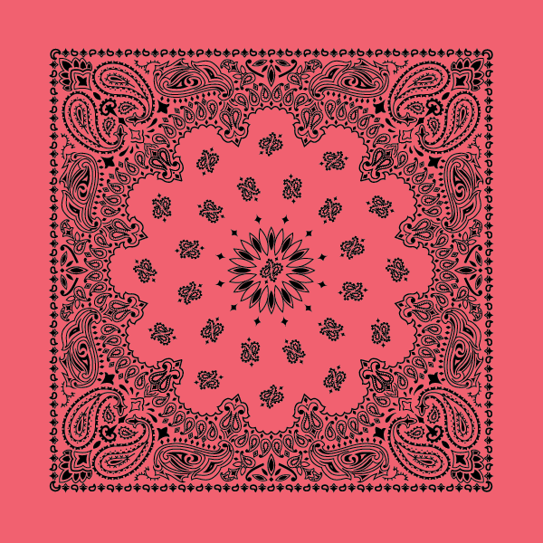 New - Contemporary Paisley Bandannas - The Bandanna Store
