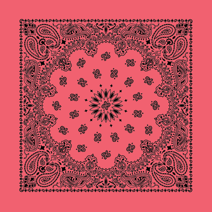 New - Contemporary Paisley Bandannas - The Bandanna Store