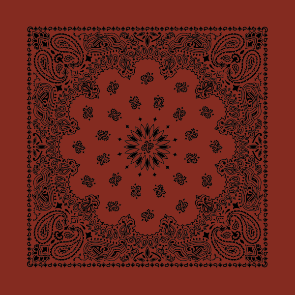 New - Contemporary Paisley Bandannas - The Bandanna Store