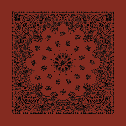 New - Contemporary Paisley Bandannas - The Bandanna Store