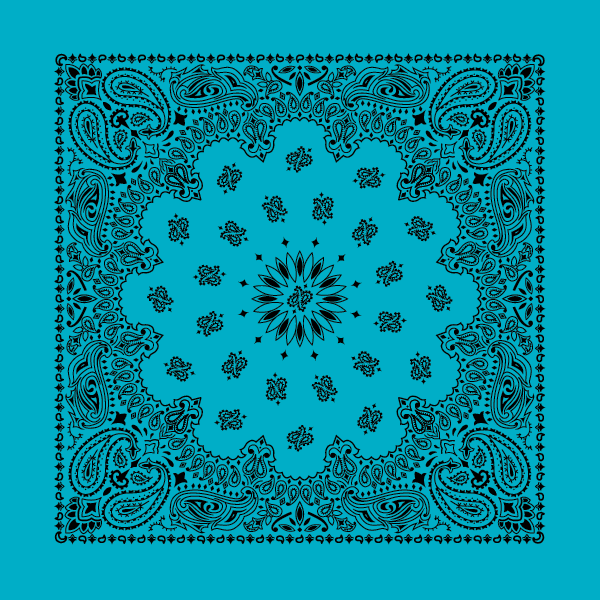 New - Contemporary Paisley Bandannas - The Bandanna Store
