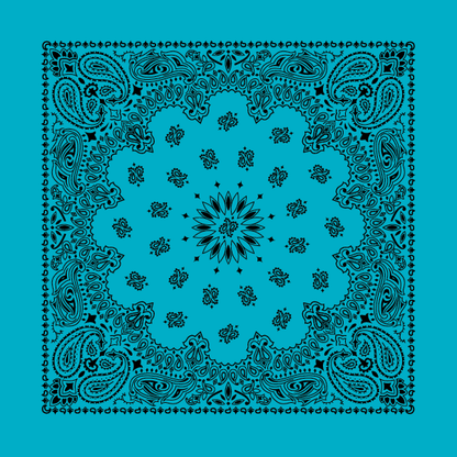 New - Contemporary Paisley Bandannas - The Bandanna Store