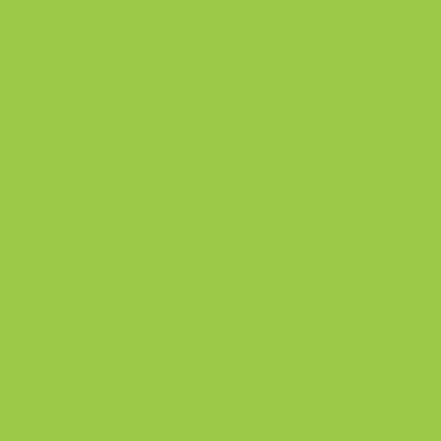 SOLID COLOR 22" BANDANNAS - 12 PACK - The Bandanna Store