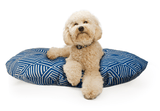 WHITE POODLE ON BLUE PET BED